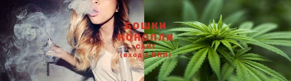прущие грибы Лагань