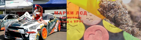 прущие грибы Лагань
