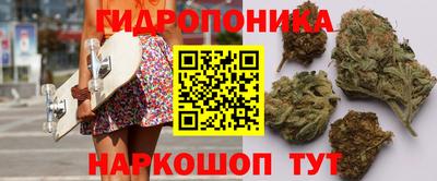 индика Волгодонск