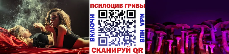 наркота  Усинск  Галлюциногенные грибы Psilocybe 