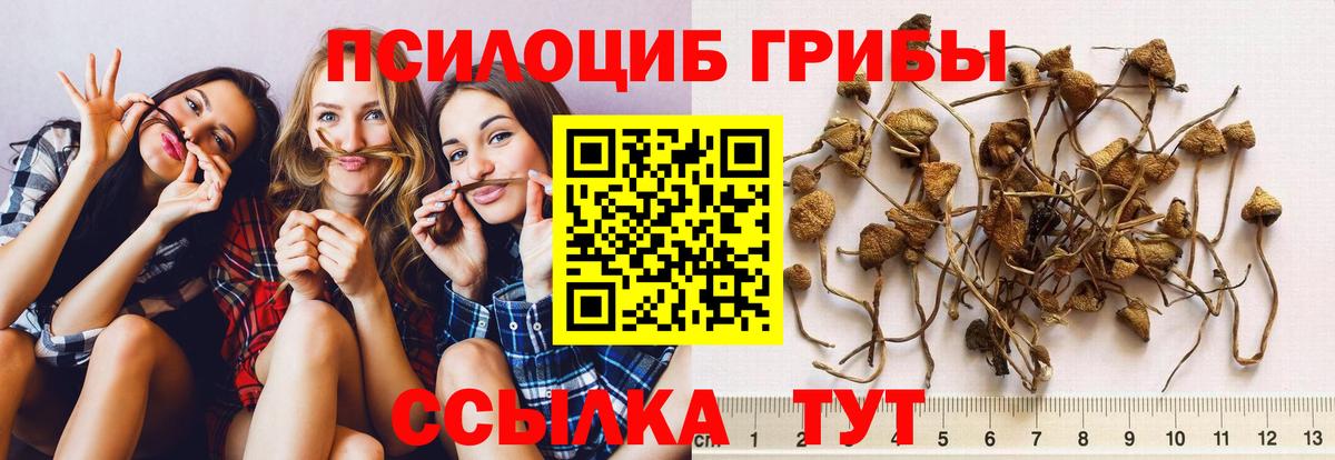 Псилоцибиновые грибы Magic Shrooms  Усинск 