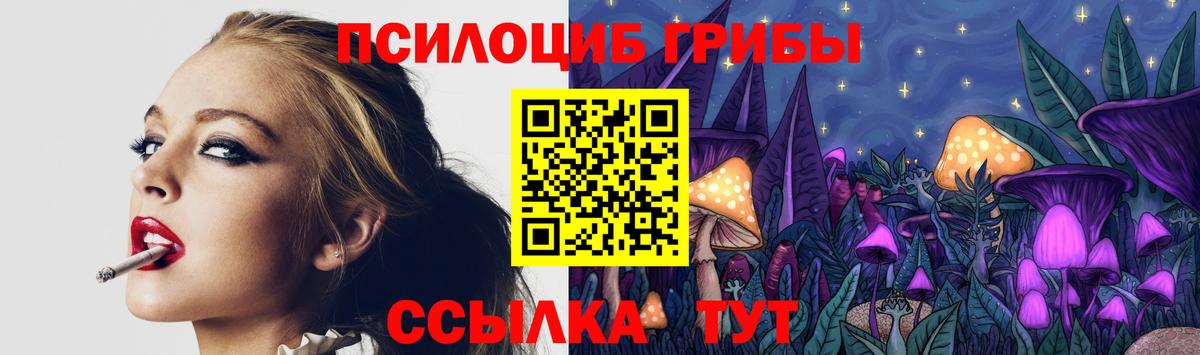 Галлюциногенные грибы Psilocybine cubensis Усинск