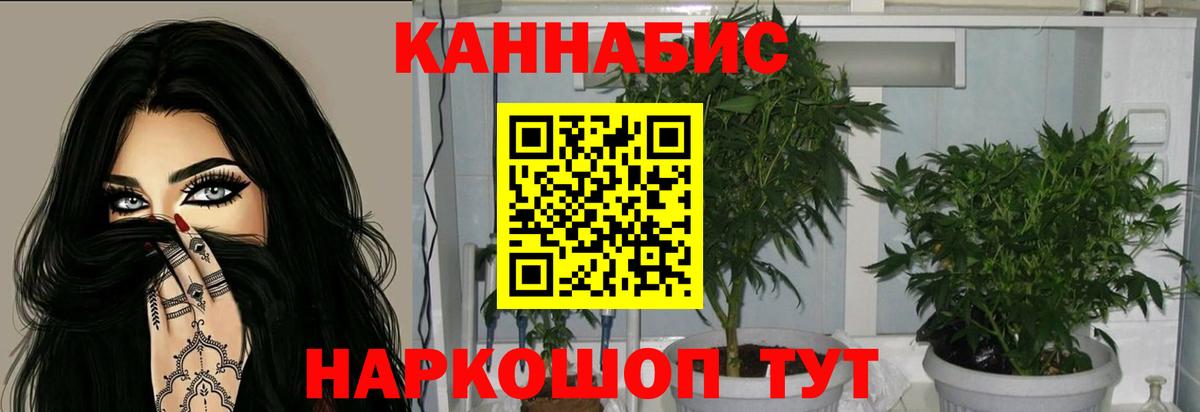 Бошки марихуана AK-47  Усинск  Шишки марихуана AK-47  Марихуана Ganja 